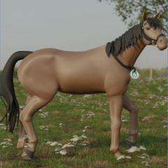 nfts Alpha Horse Horse NFT Marketplace