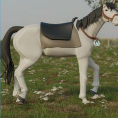 nfts Alpha Horse Horse NFT Marketplace