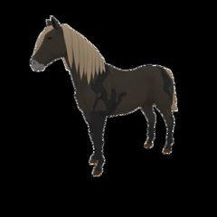 nfts DeRace Horses NFT Marketplace