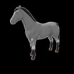 nfts DeRace Horses NFT Marketplace