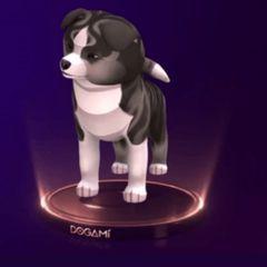 nfts Dogami Dog NFT Marketplace