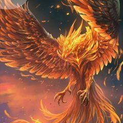 nfts Duelist King Card NFT Marketplace