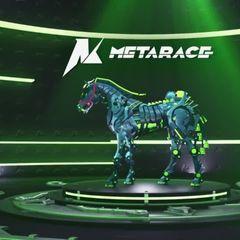 nfts Metarace Horse NFT Marketplace