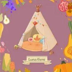 nfts My Neighbor Alice Item NFT Marketplace
