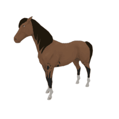 nfts zkRace Horse NFT Marketplace