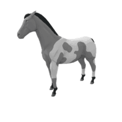 nfts zkRace Horse NFT Marketplace