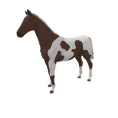 nfts zkRace Horse NFT Marketplace